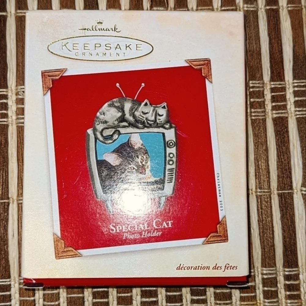 Cat Sleeping On a TV Photo Holder Hallmark Keepsake Frame 2003 NIB